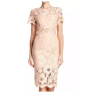 !! NSR Lace Short Sleeve Sheath Midi Dress sz XL